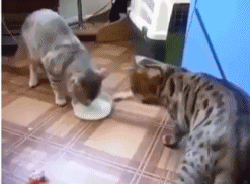 不懂他们的世界