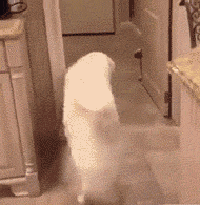 只有我最摇摆！