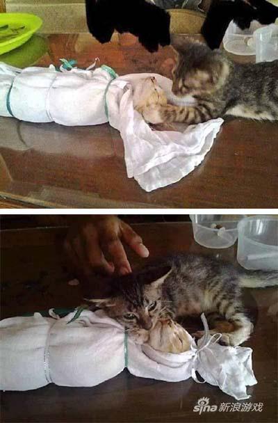 这么小，可能还以为伙伴睡着了