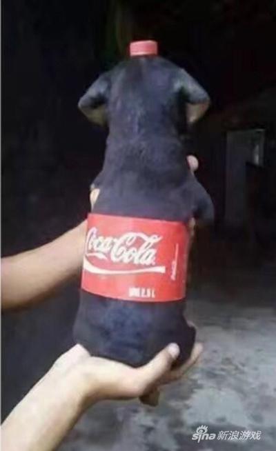 每喝一瓶可乐就需要一只旺财