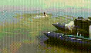 旁观者心情很平静甚至还想笑