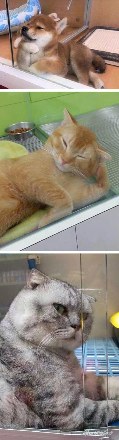 看吧，卖不出去果然是有原因的