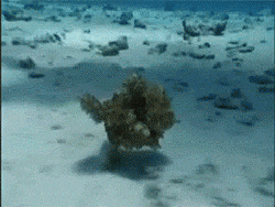 开玩笑，还好几个小时呢！