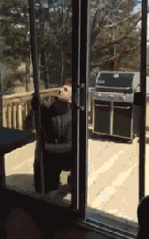 晚上蚊子会咬到他把房子拆了