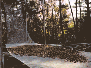 醒醒……哪来的儿子啊！！