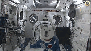 上天就上天吧，无所谓了……