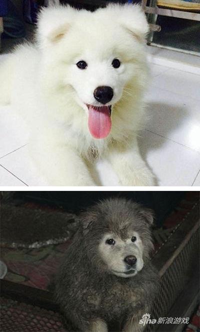 看得出来是带了口罩的