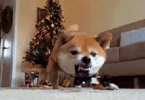 吼什么吼，再往前就把你鼻子削了做手柄