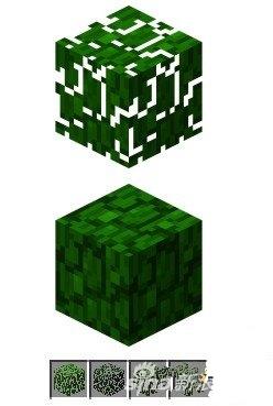 我的世界移动版树叶