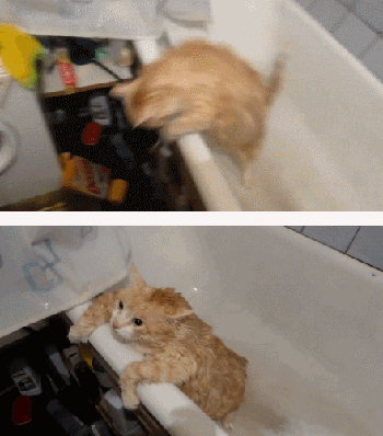 别跳了，都掉色了