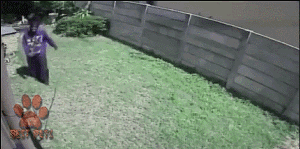 这黑人走路都自带RAP