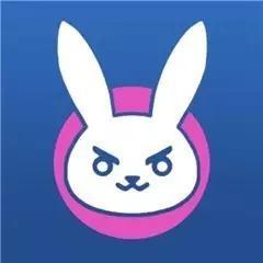 在这场女性大游行中,为什么会混入d.va的标志?