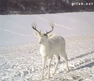 女扮男装容易被怼你知道吗