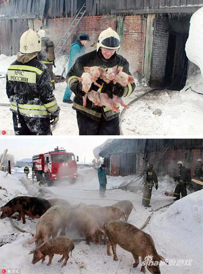 一场焦香四溢的火灾