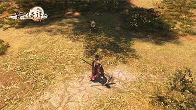 研发中的咒隐技能释放（dps专精）