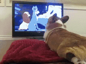 那又怎么样呢！今天不过是一个普通的周二罢了！