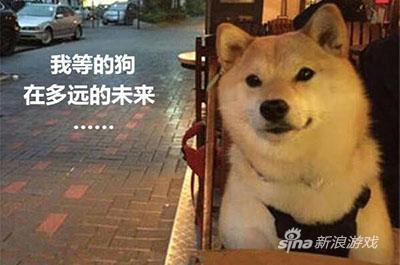 我等的狗又在多远的未来