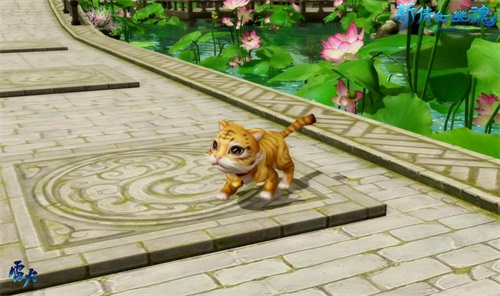 图1  激萌灵兽小虎咪