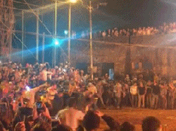 一下就飞了起来