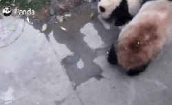 如山……一般沉重