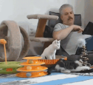 所以究竟哪个是弹簧