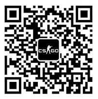 快速完成荣耀认证，获取更多新鲜资讯，关注CS：GO官方公众号
