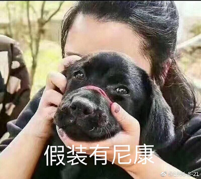 红圈狗头图片