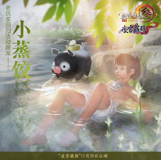 跟宠猪“小蒸饺”