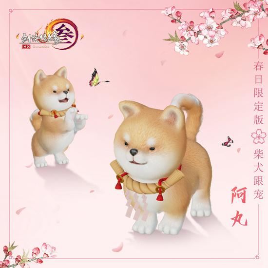 春日限定版柴犬跟宠·阿丸