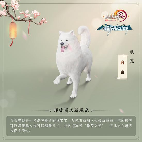 师徒跟宠“白白”