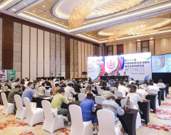 2025Chinajoy新闻发布会