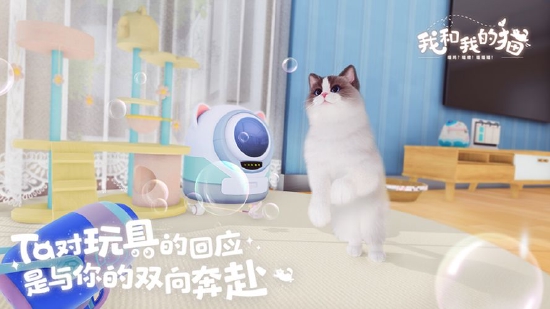 治愈系PV发布，西山居猫咪养成手游《我和我的猫》9.22测试