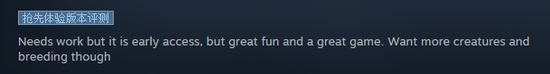 Steam海外玩家评论