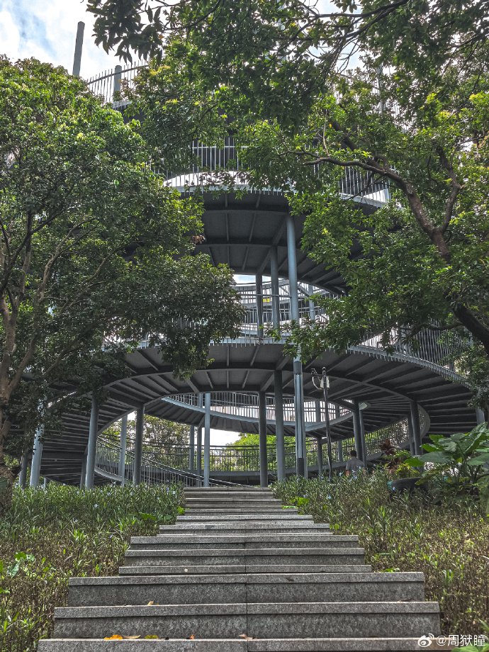 深圳：闹市中的森林氧吧