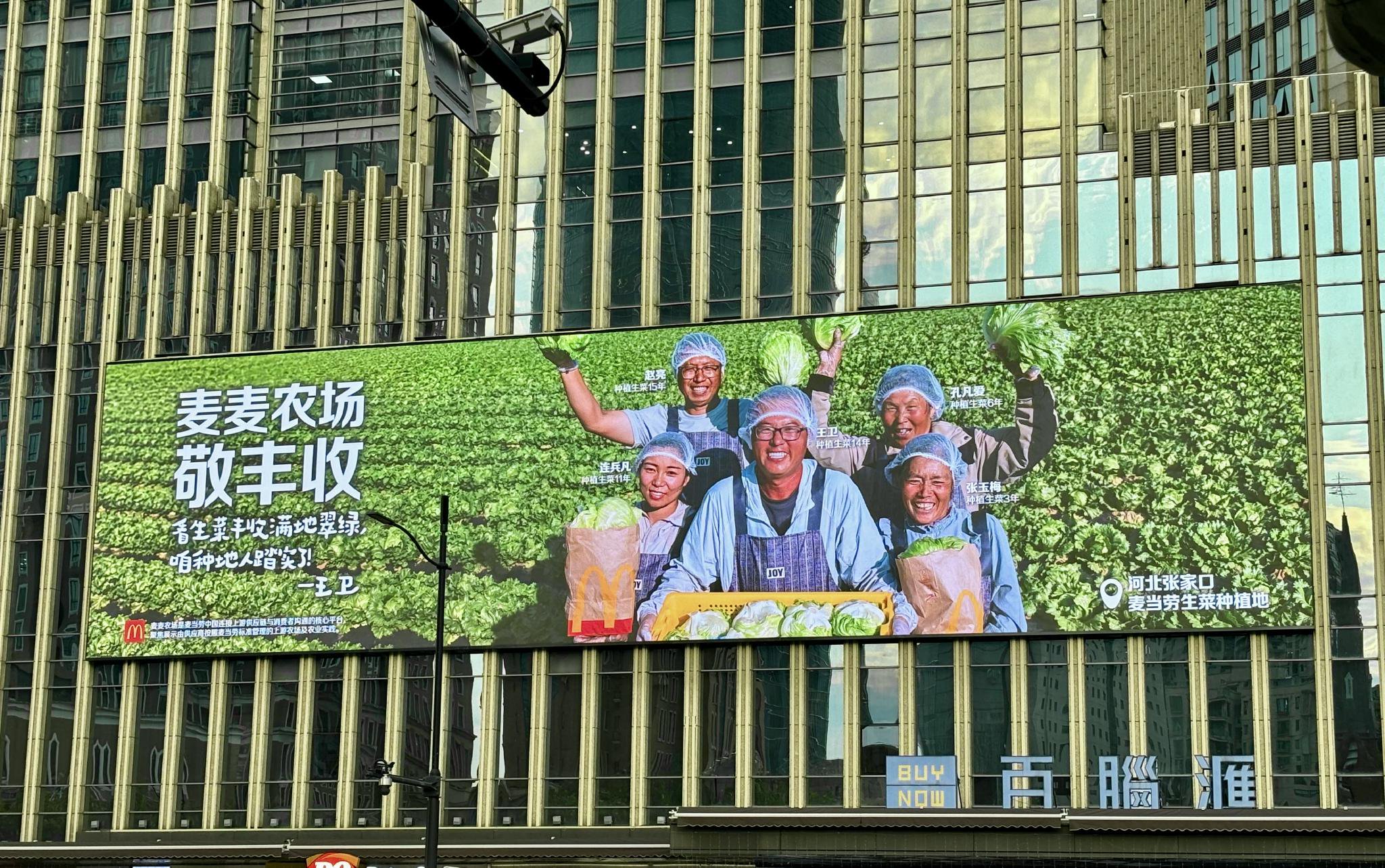 麦麦农场丰收群像，来到不同城市与消费者相遇