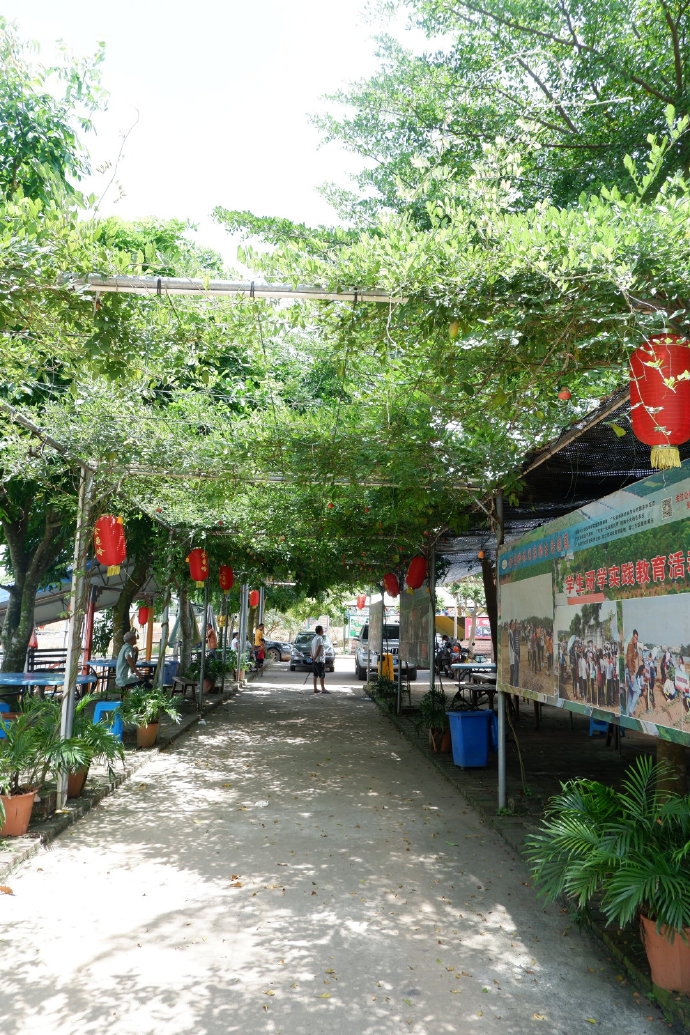 遂溪金龟岭农场半日游 夏日消遣好时光