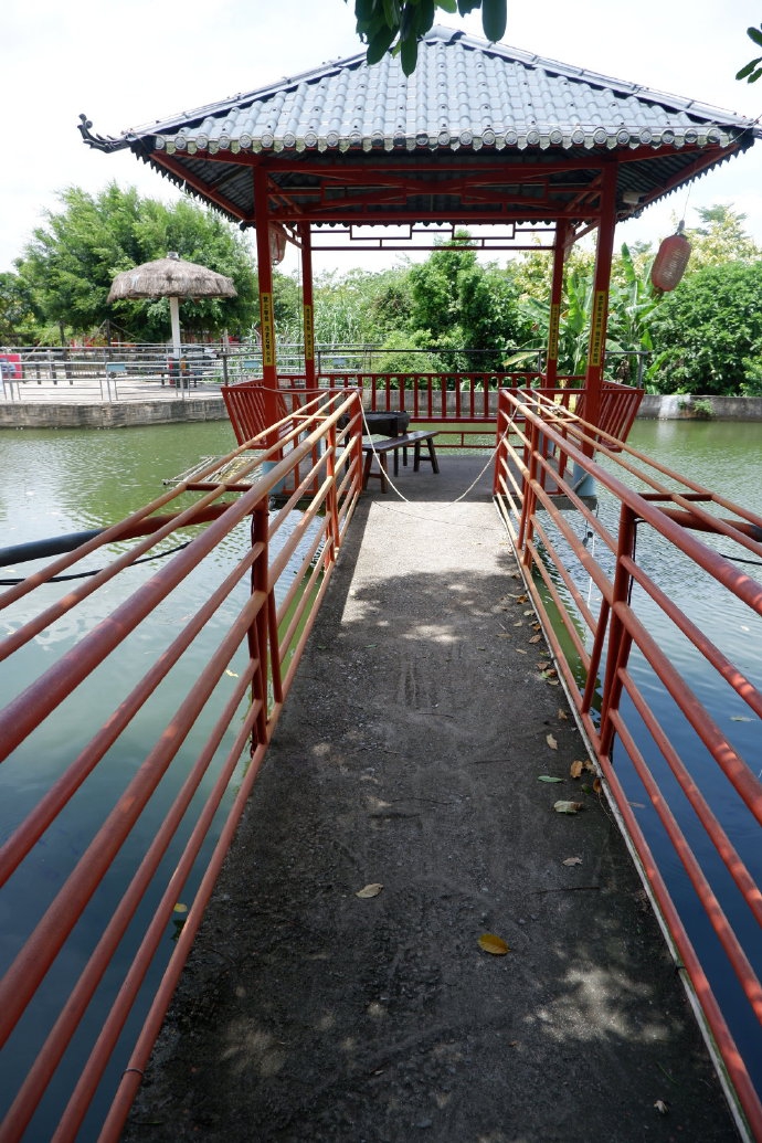 遂溪金龟岭农场半日游 夏日消遣好时光