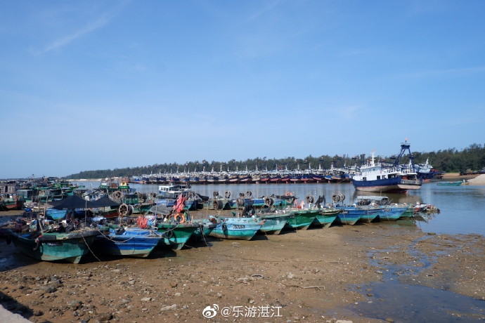 湛江美景休渔期的江洪渔港