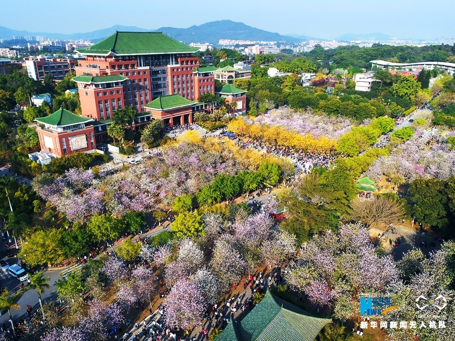 1/ 113月10日,广州的华南农业大学上千亩娇艳欲滴的花卉盛开,从空中
