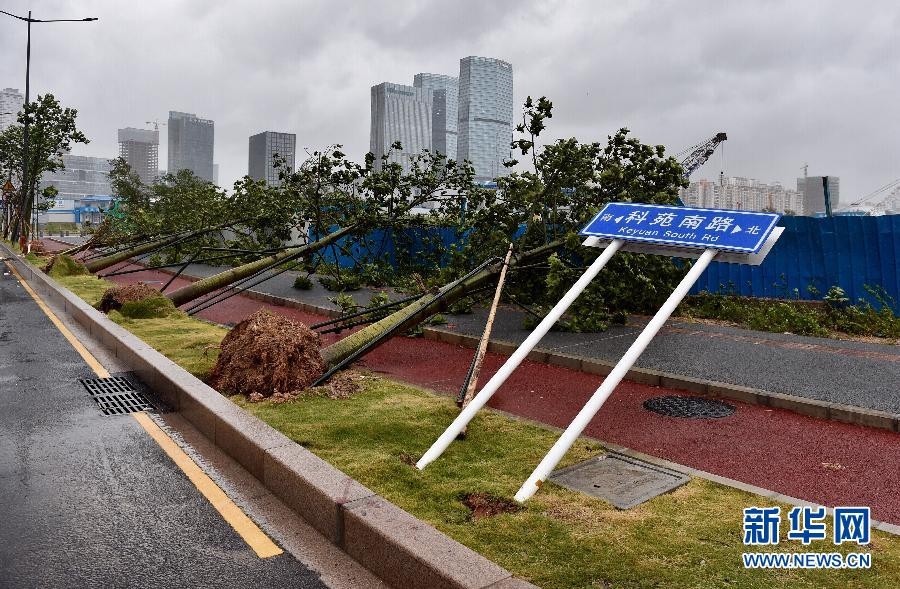 珠海台风天鸽图片