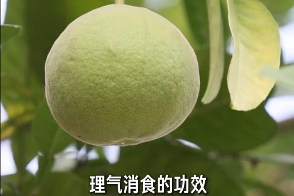 （社会）华春莹点赞的化橘红亮相两会茶歇区