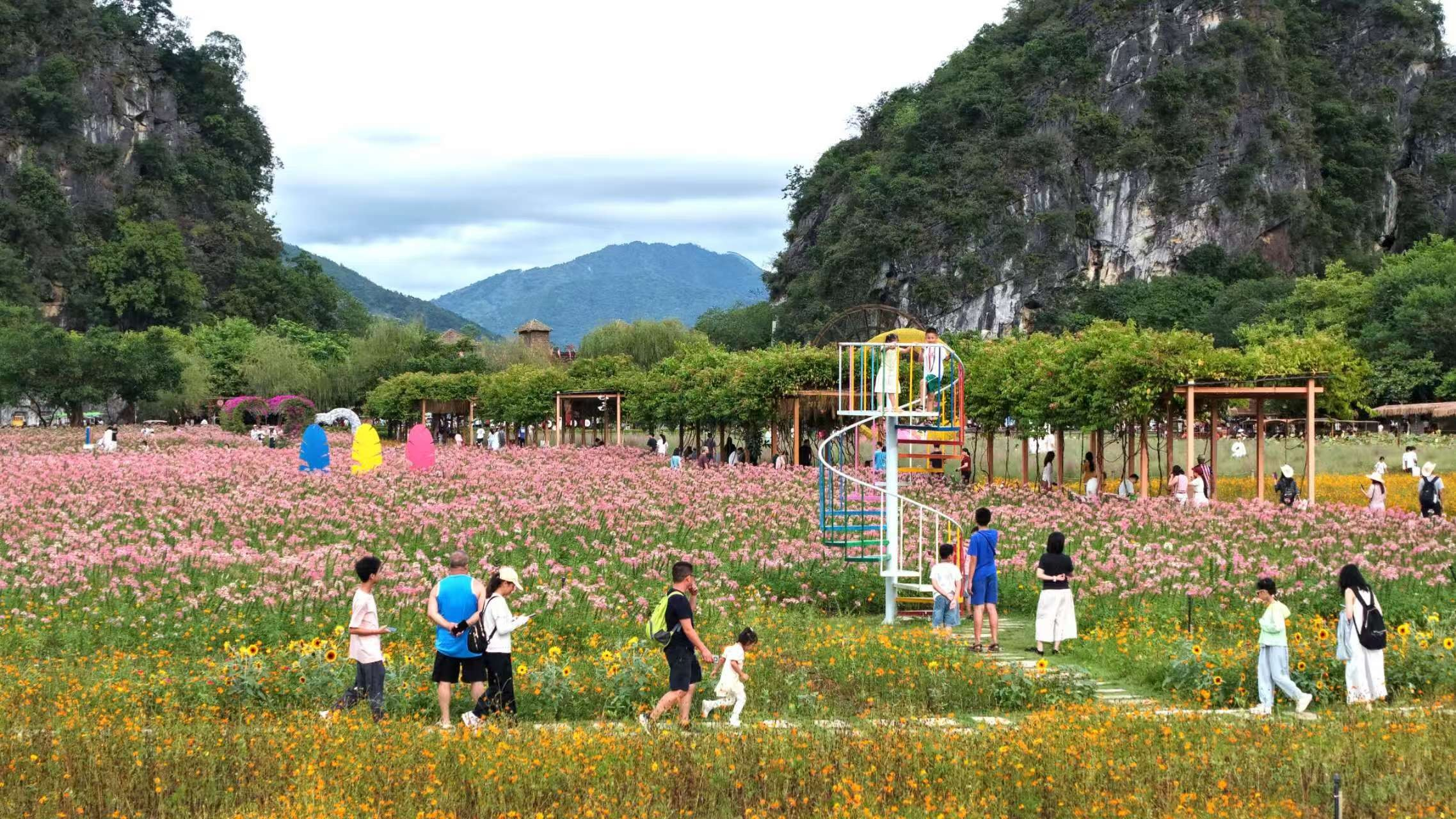 九龙峰林晓镇。景区供图