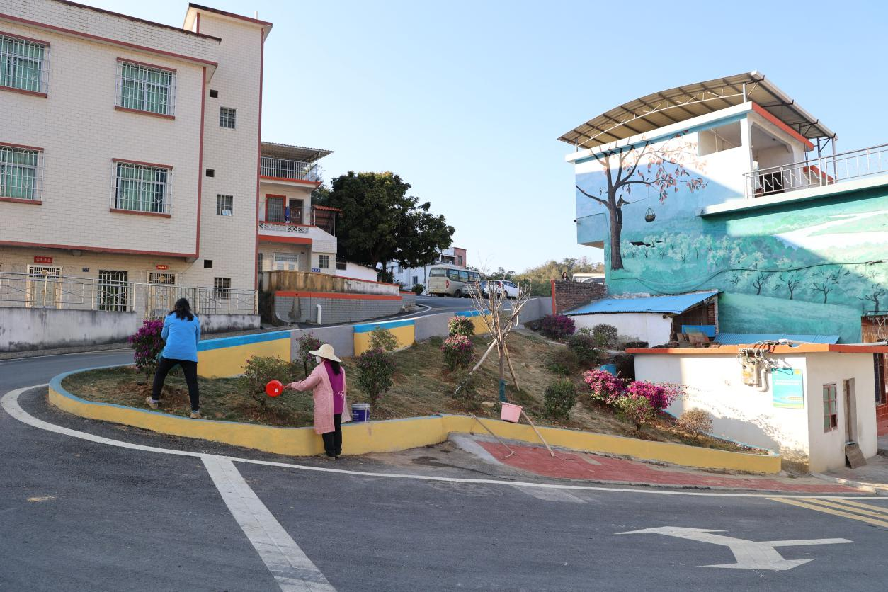 村民自发在房前屋后开展绿化