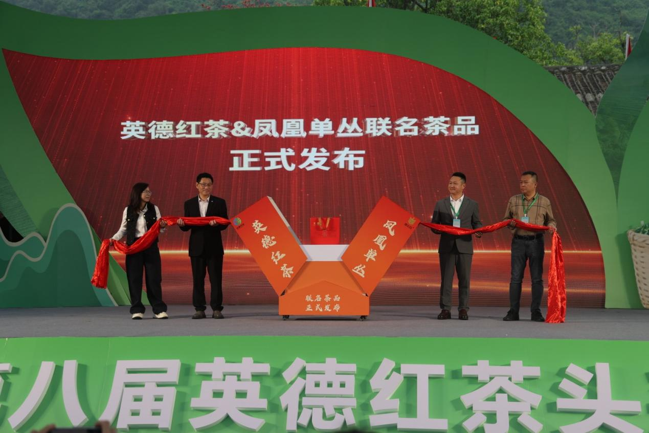 英德红茶与凤凰单丛联名茶品正式发布。钟履双 摄