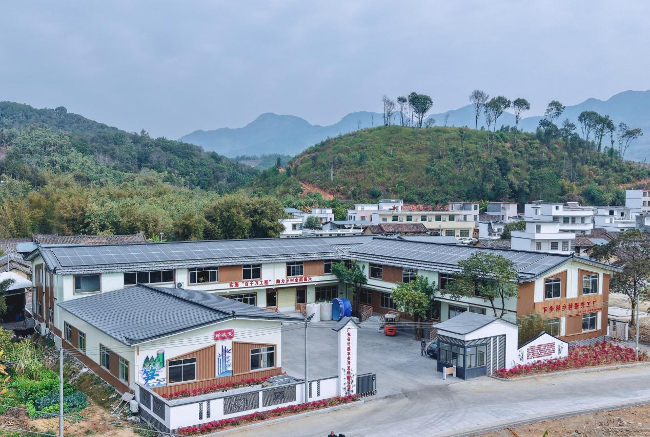 下步村麻竹笋乡村振兴工厂加工车间 通讯员供图