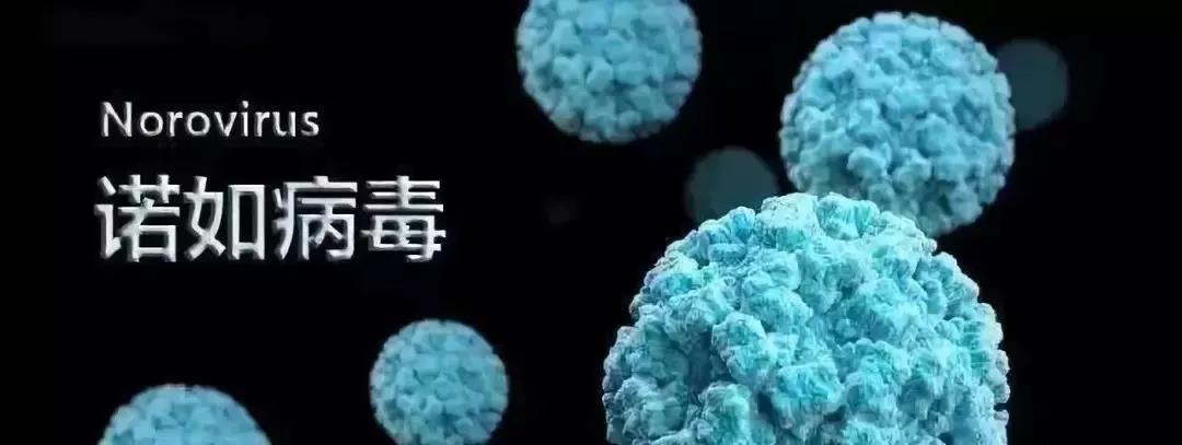 返程最高峰明日到来 回珠三角这样走最机智