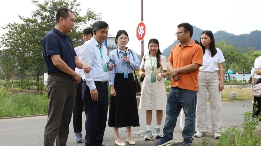 代表团先后走进横石塘镇龙华村梅子寨、积庆里红茶谷等地。 通讯员供图