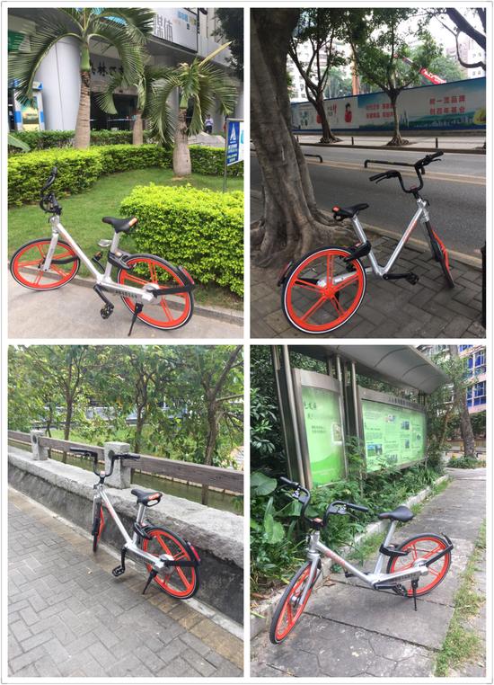 深圳摩拜单车一夜爆红市民车太重是硬伤