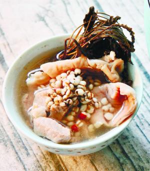 车前草薏米煲猪小肚 清明时节健脾补胃