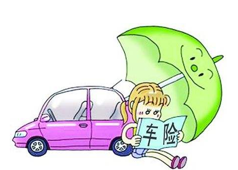 强制保险,第三者责任险,车辆损失险,全车盗抢险,玻璃单独破碎险